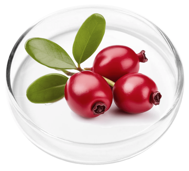 Bearberry