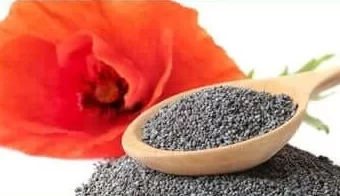 California-Poppy-Poppy-Seed-1