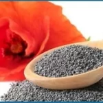 California-Poppy-Poppy-Seed-1