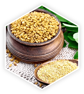 Fenugreek