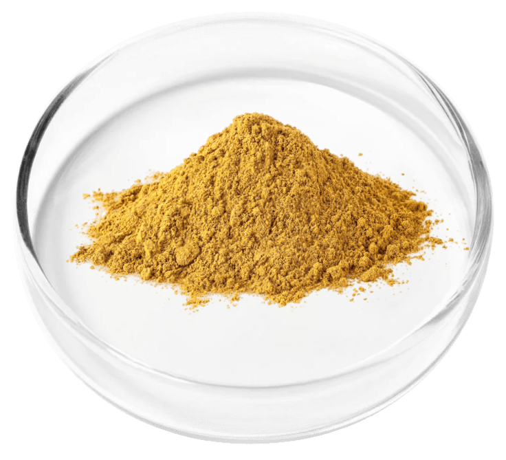 Granular Berberine