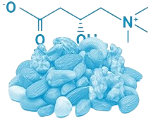 L-Carnitine Fumarate