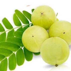 amla