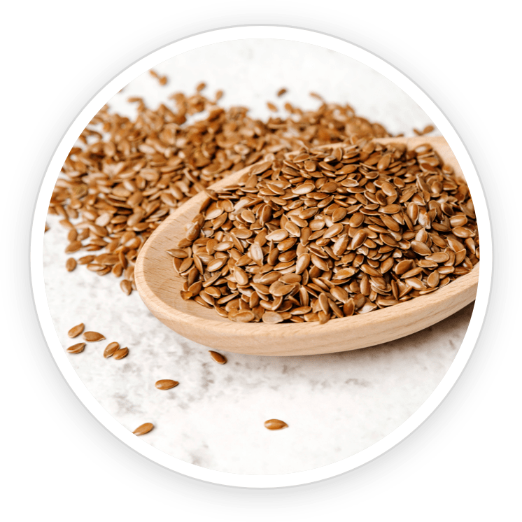 Flax Seeds