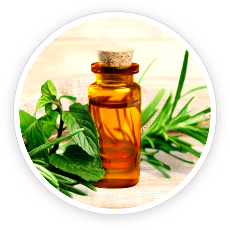 Tea Tree oil